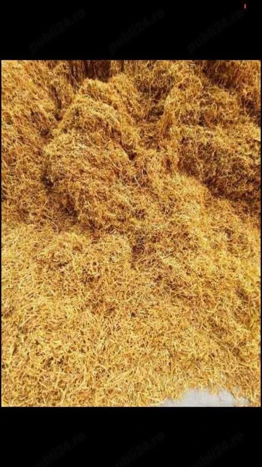 bomboane de calitate 
