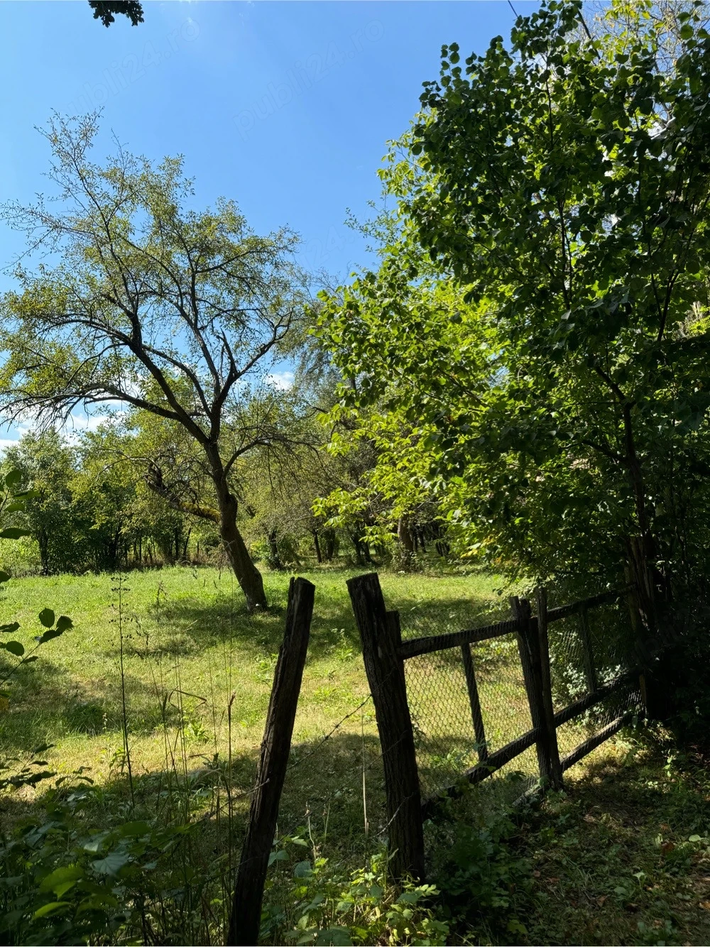 Teren de vanzare Salciua de Jos (Dumesti), jud. Alba