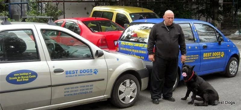 Dresaj Canin, 