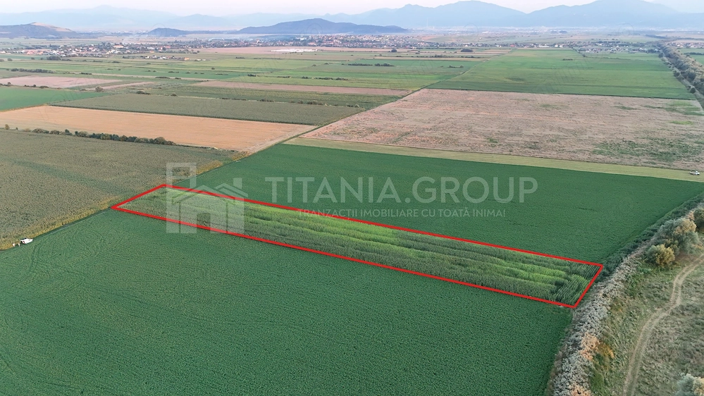 Teren extravilan, 8700 mp, pretabil agricultură sau investiție - Bod