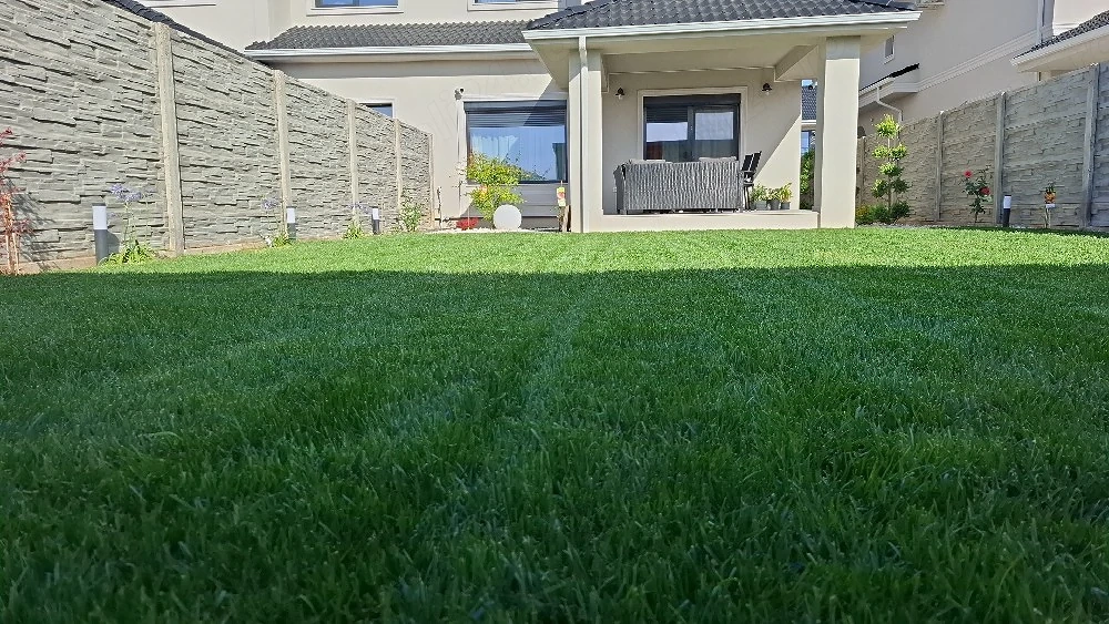 amenajat spatii verzi