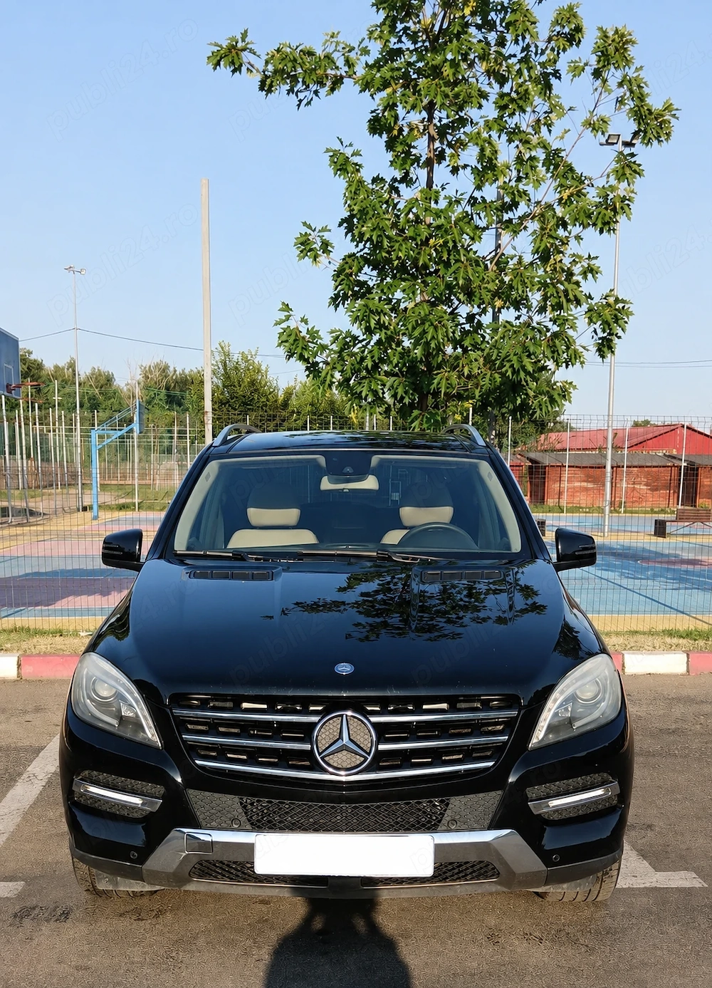 Mercedes-Benz ML 250 BlueTEC 4MATIC   204 CP   2012