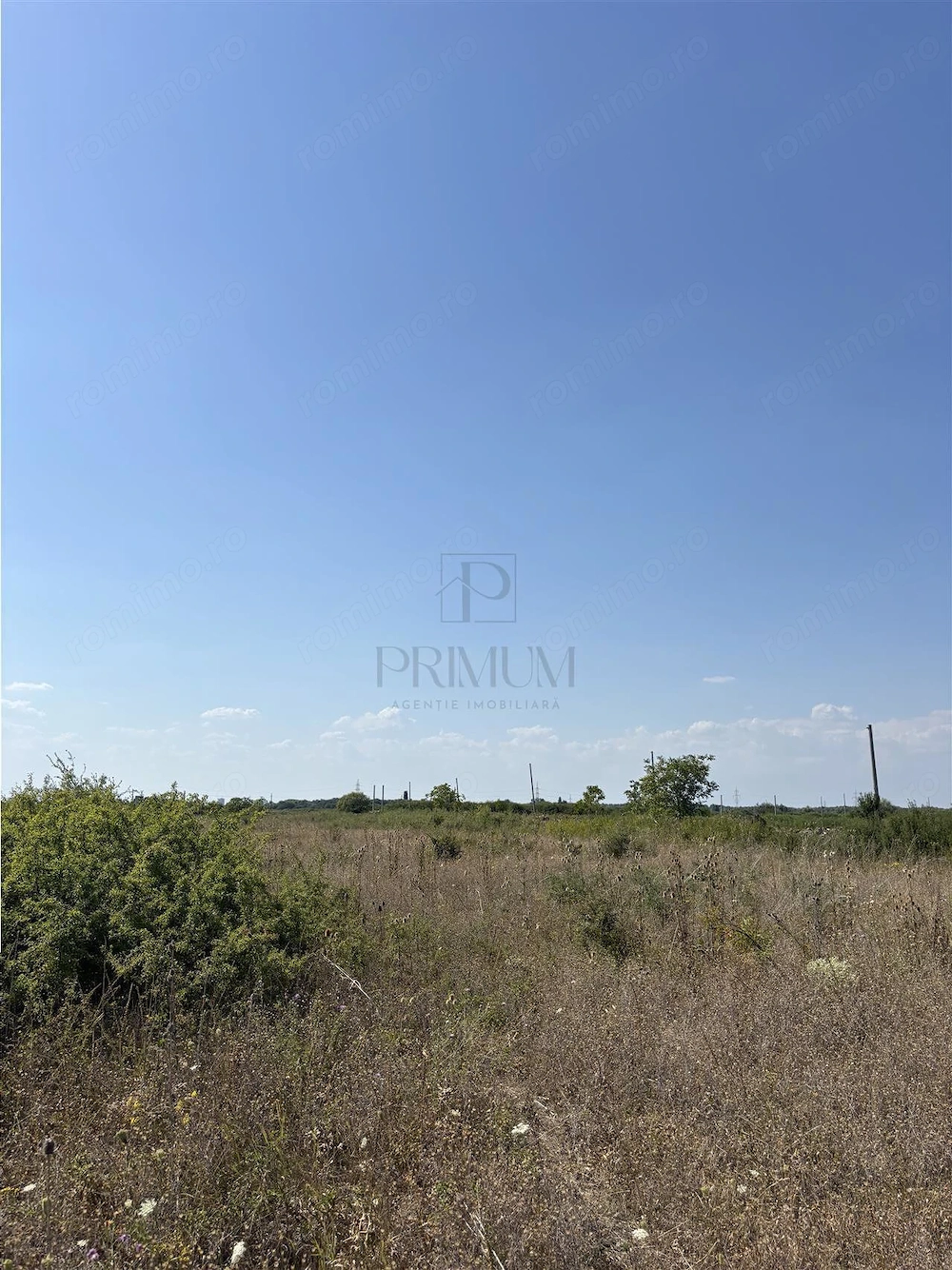 Doua Terenuri- Mosnita Veche- 561 mp