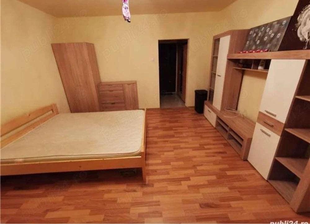 Apartament cu o camera