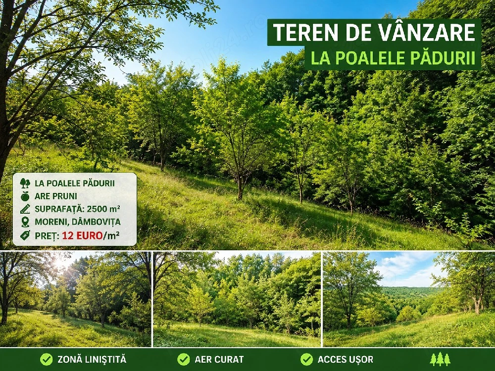 teren Moreni