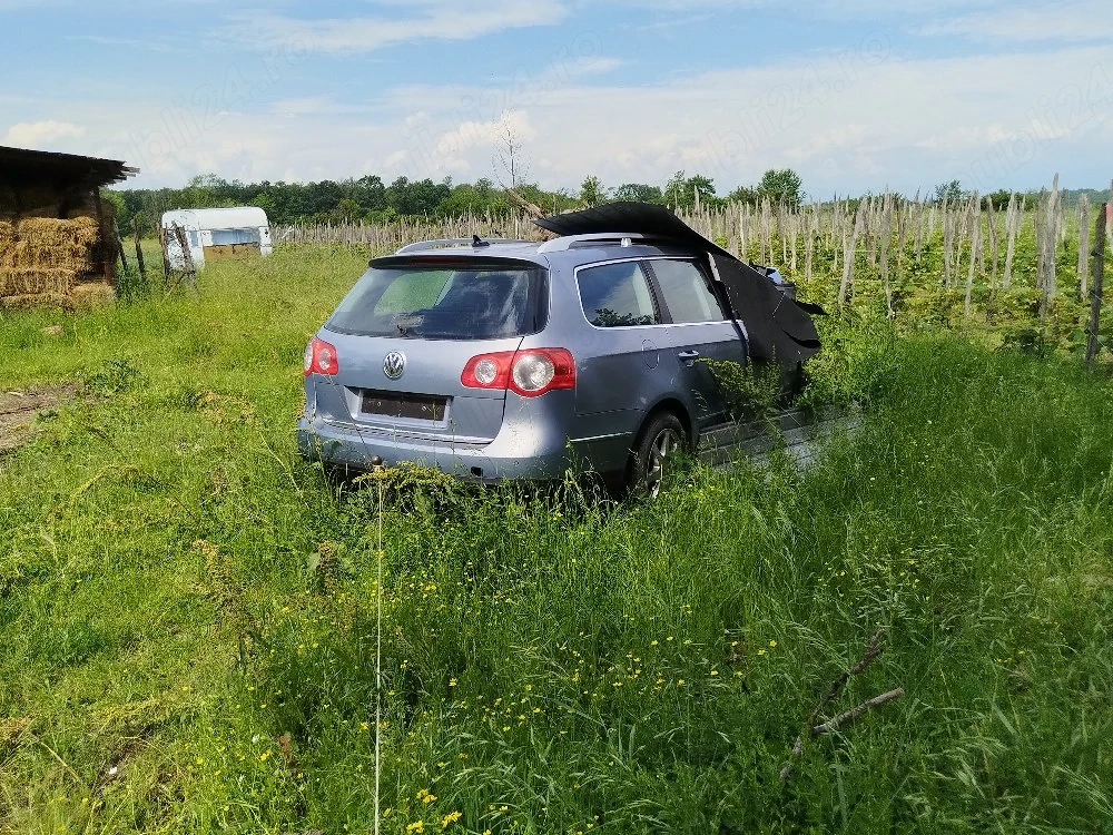 Passat dezmembrari