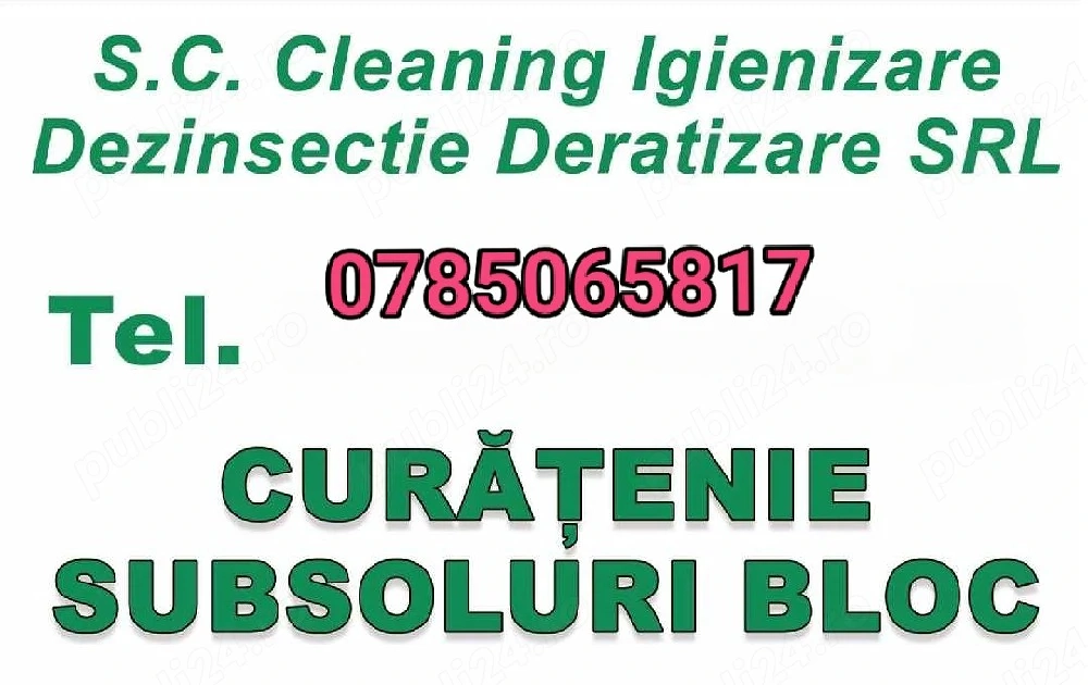 curățenie Subsol de Bloc 
