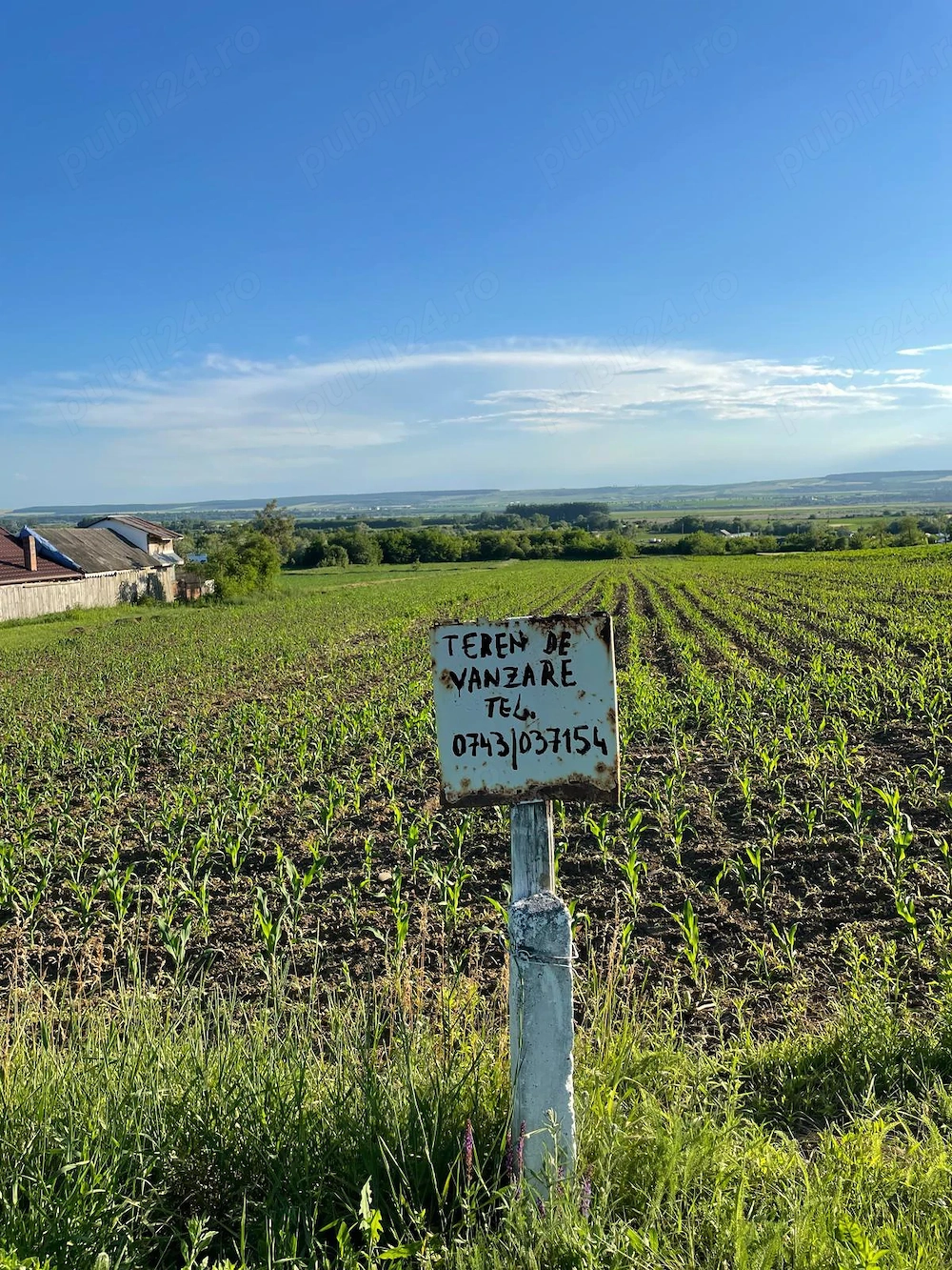 Vanzare teren intravilan Pascani