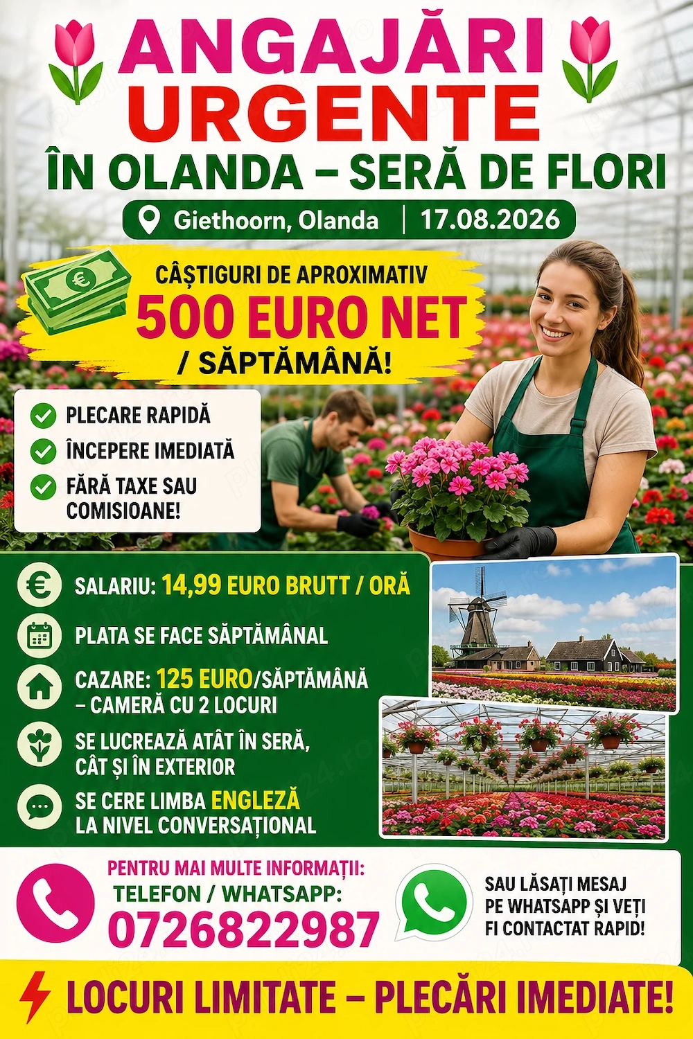 sera flori august plecare urgenta