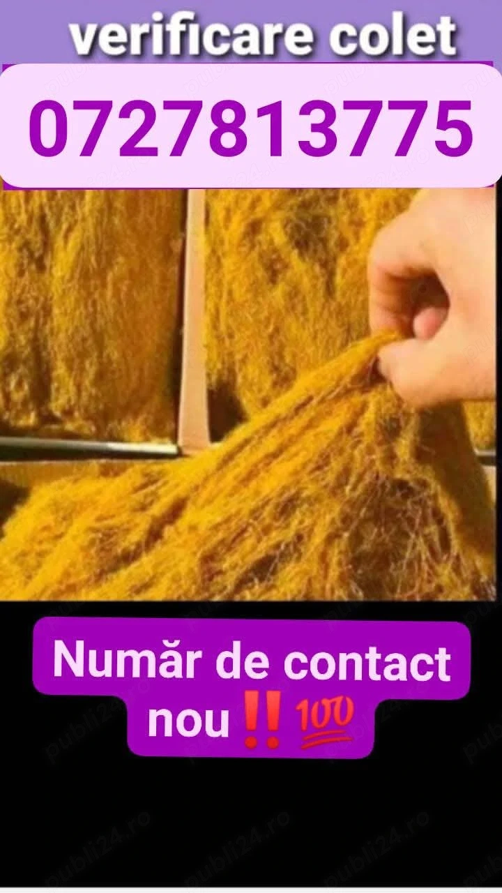 acadele de calitate 