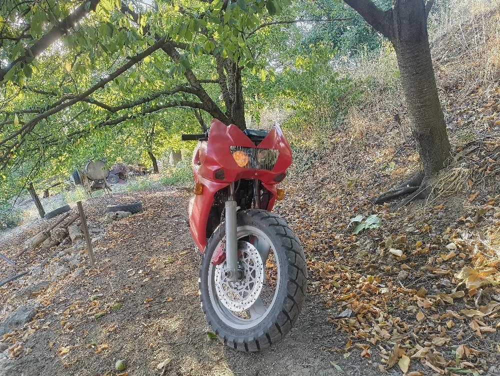moto sachs 125