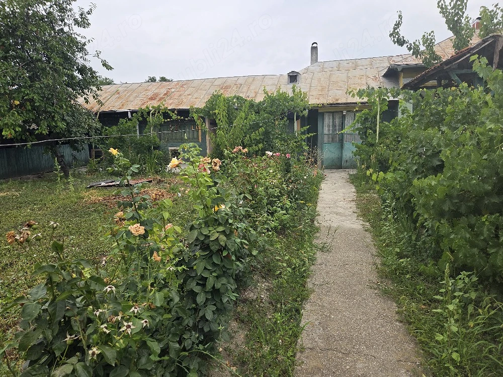 Vand casa in Mavrodin 