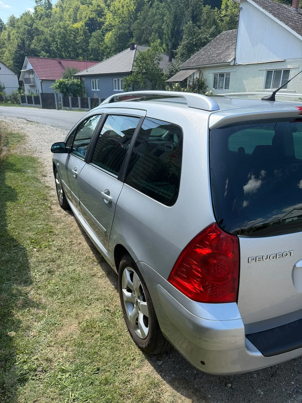 Vand Peugeot 307