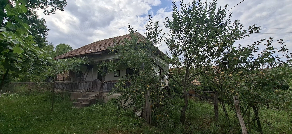 Vând proprietate 8250 mp  casă, anexe, fântână și teren agricol   Tomșani