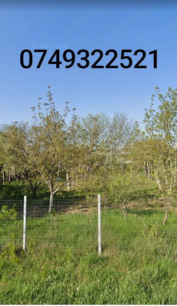 Loc de casă în Botoșani 