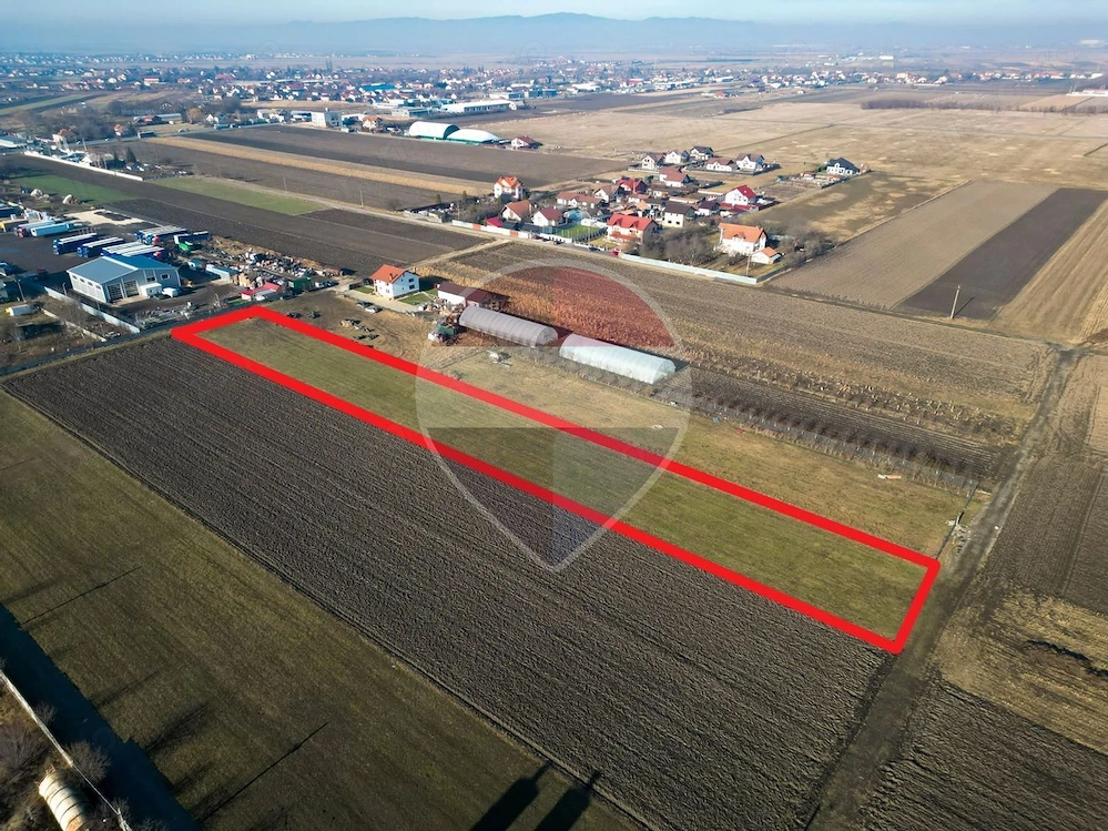 Teren Brasov - destinație industrială PUZ hala service auto