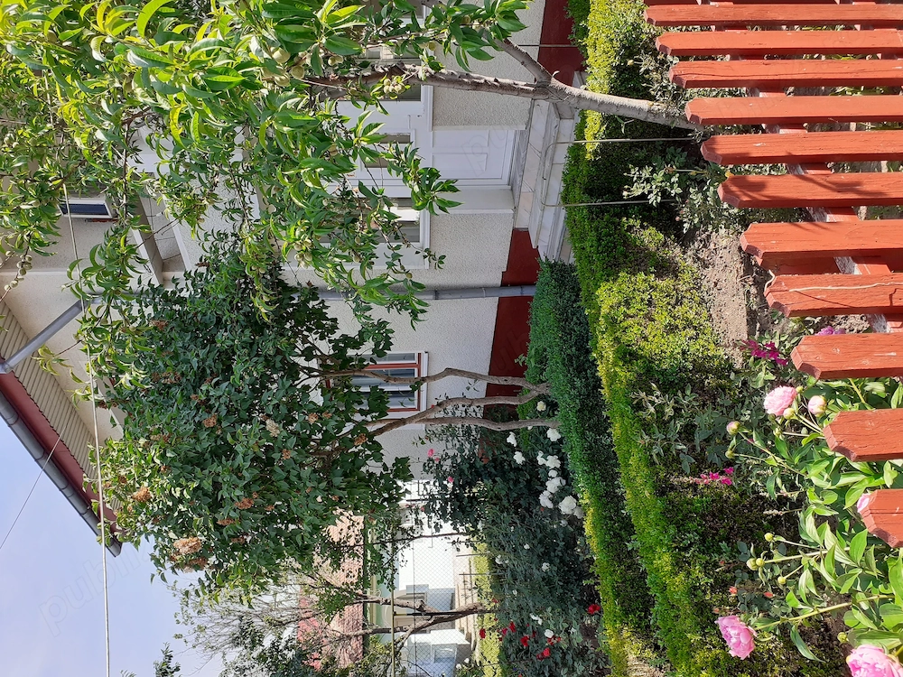 Casa de vanzare