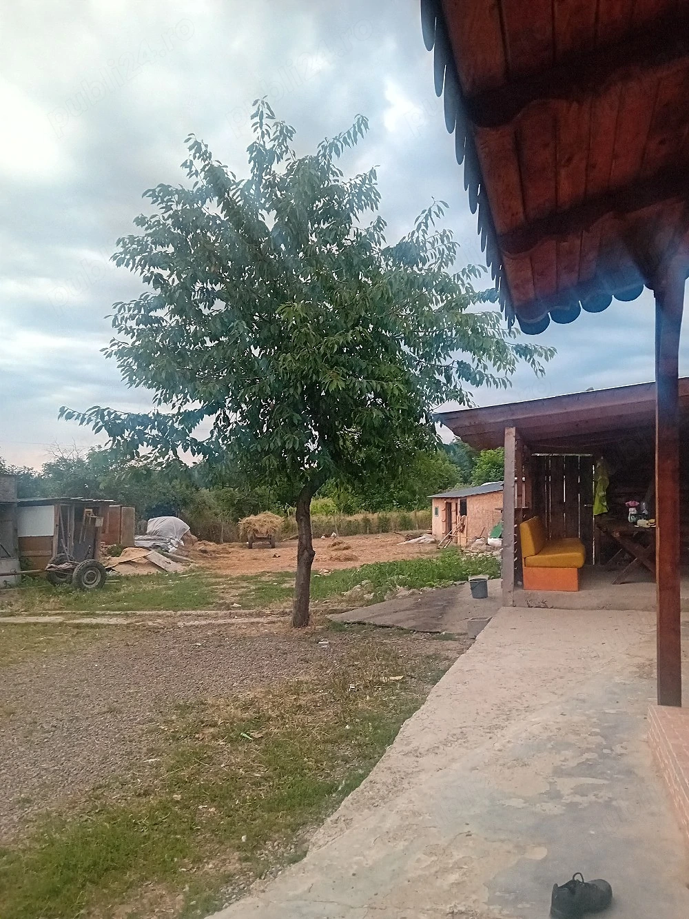 Vand casa 