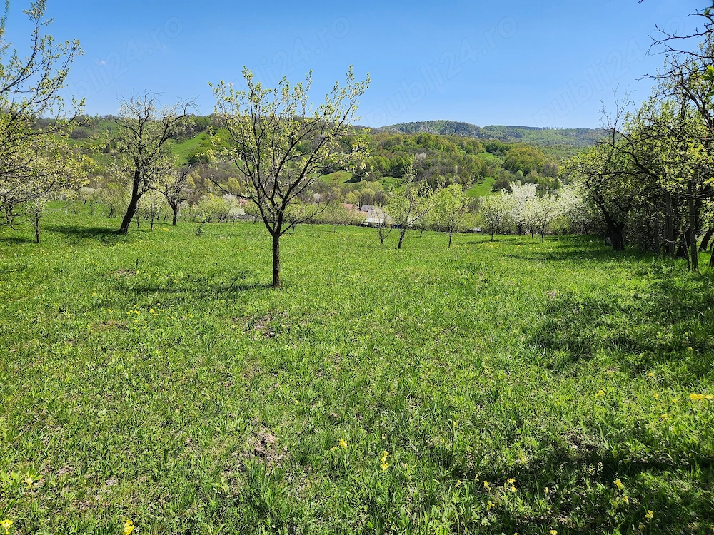 Vand teren 16000 mp intravilan extravilan in zona Valenii de Munte jud. Prahova