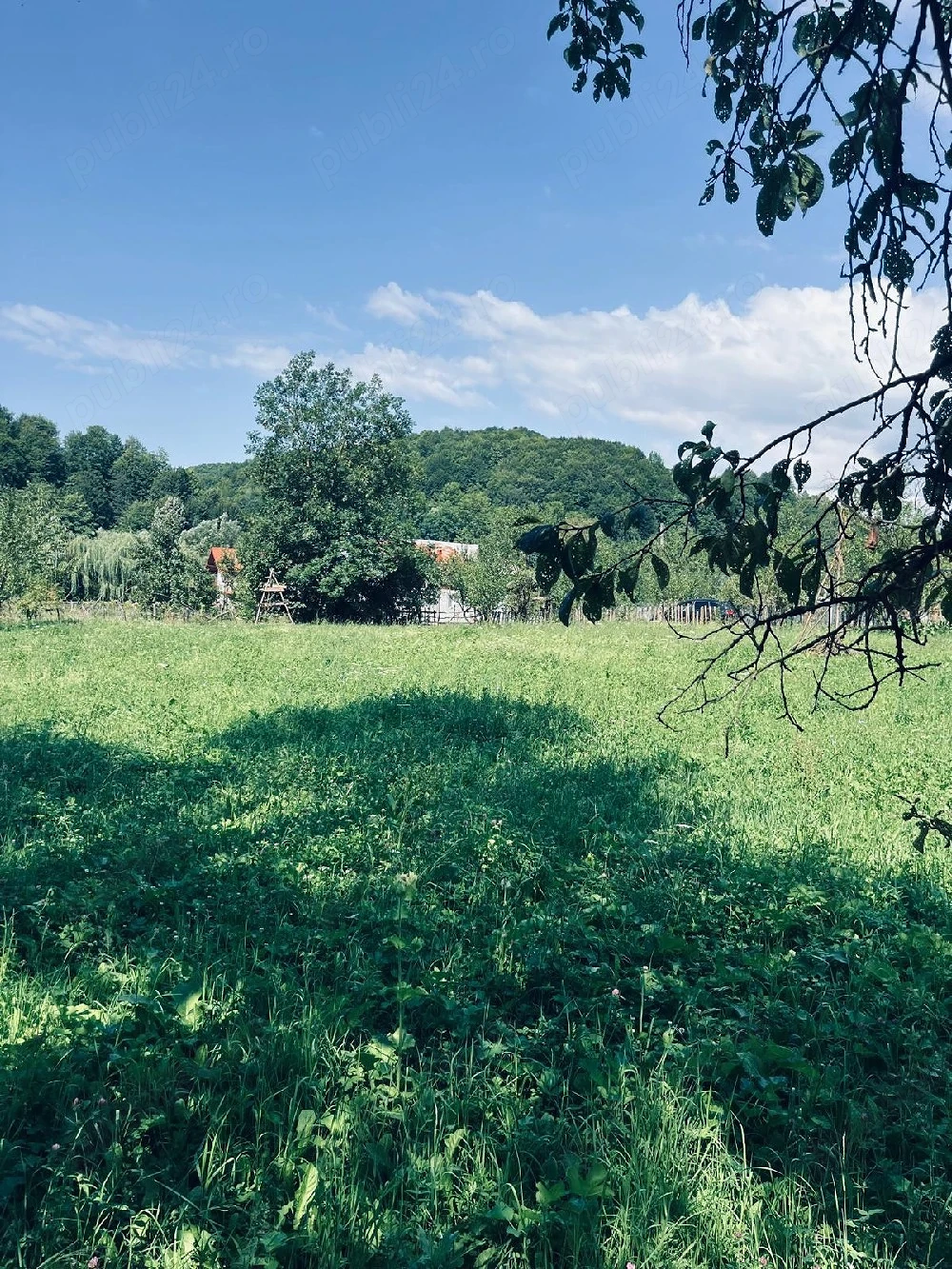 Teren de vânzare în adunați