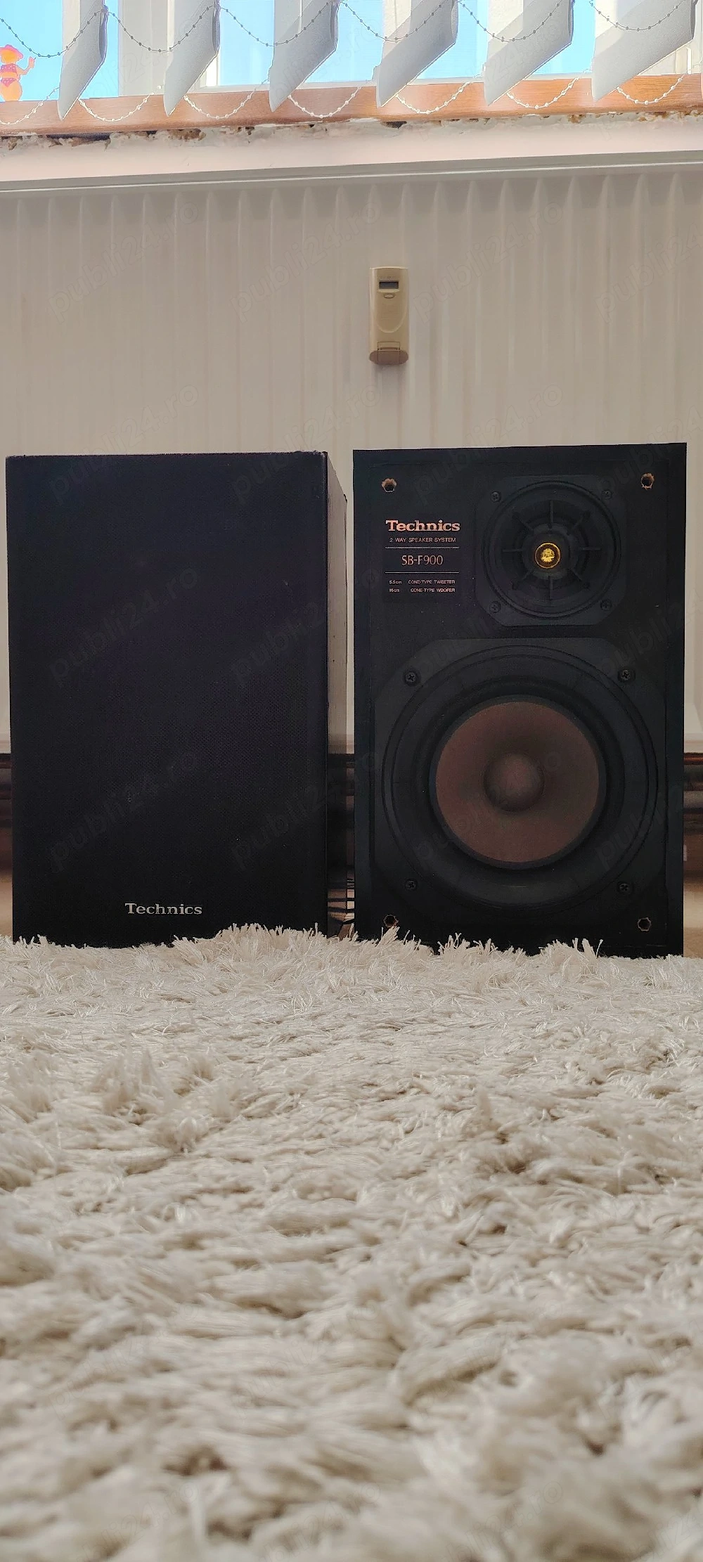 Boxe Technics SB-F900