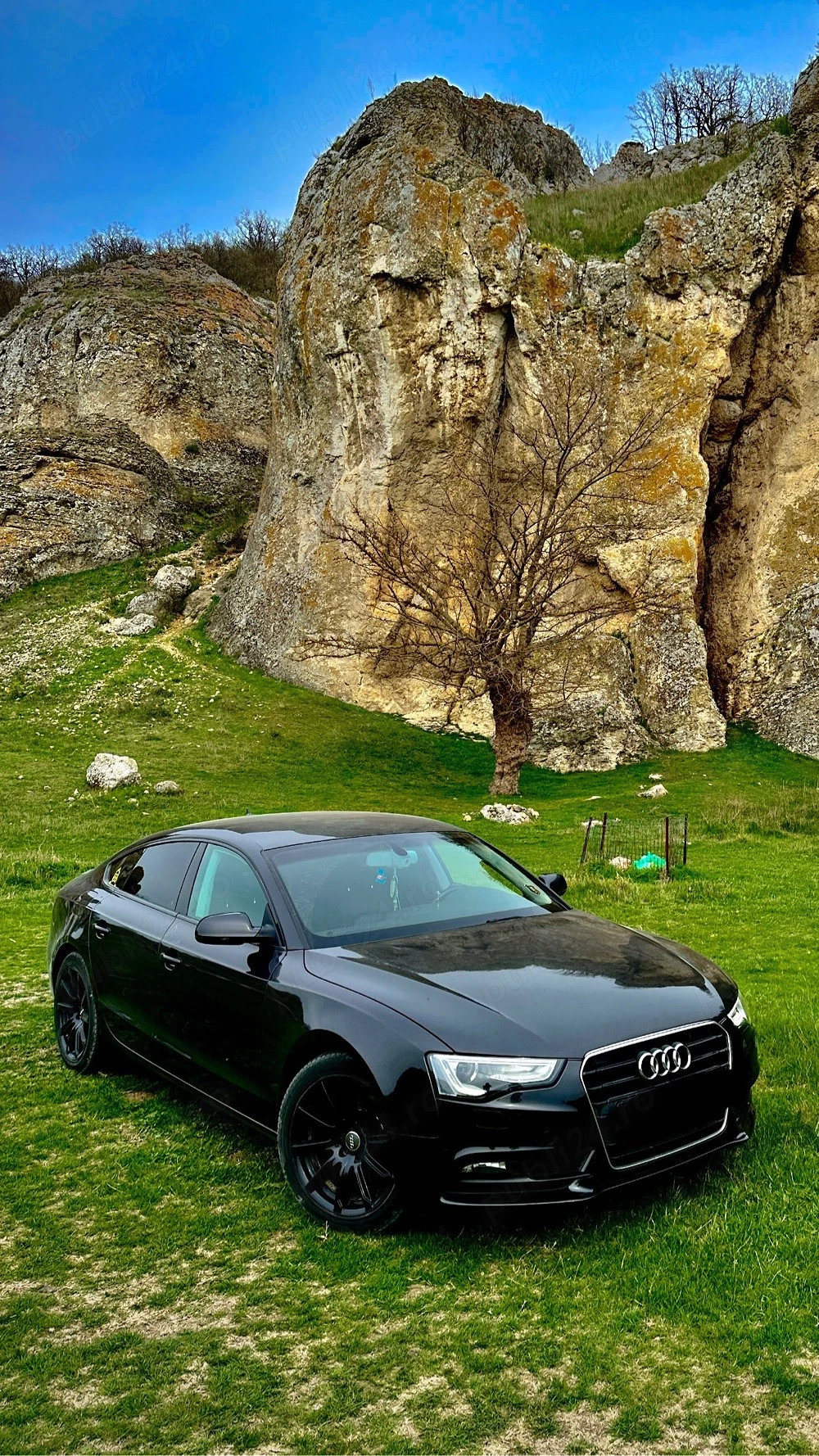 Audi A5 Sportback   2.0 TDI   Automată - Mașină de familie