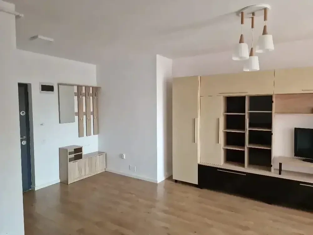 Apartament cu 1 camera 