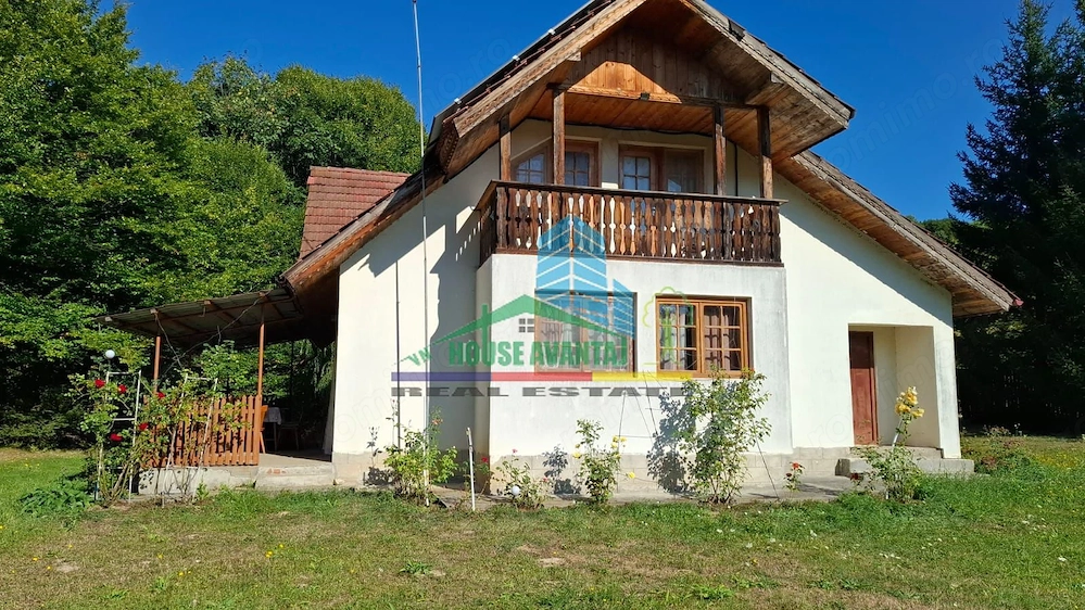 Casa de vacanta /Cabana de vanatoare  Soveja - Vrancea