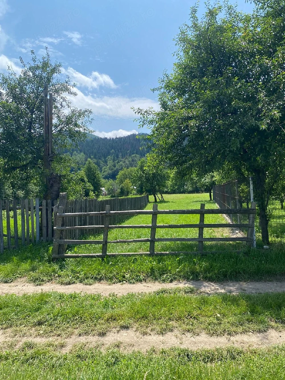 Teren 3000mp in Vadurele Vaduri Neamt