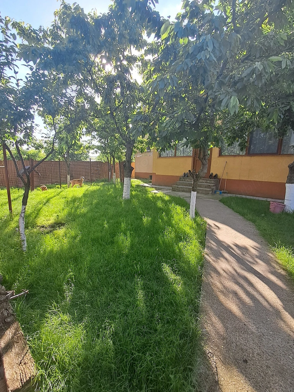 Casa pe 2 niveluri, 1216 mp teren, Tomesti