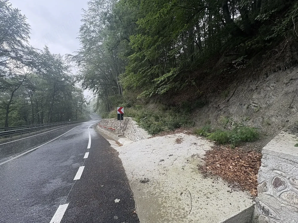 De Vanzare teren 7500m2 o parte livada, parte faneata in Herculane langa baraj