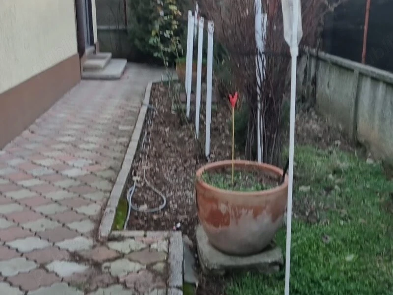 Crangasi Giulesti 