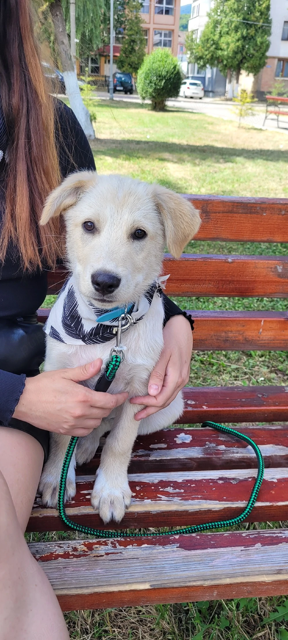 Athos își caută o familie