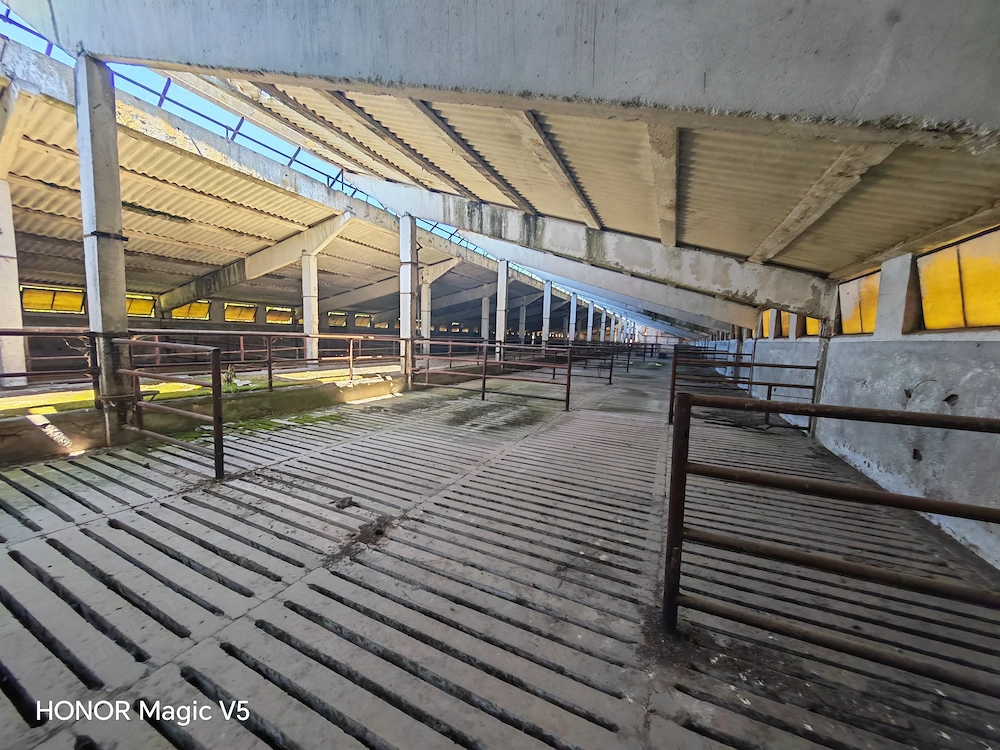 Spațiu industrial -fermă Orțișoara