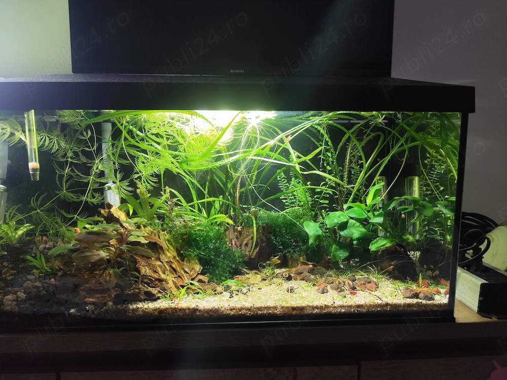 Acvariu 54 litri aquael leddy 60 