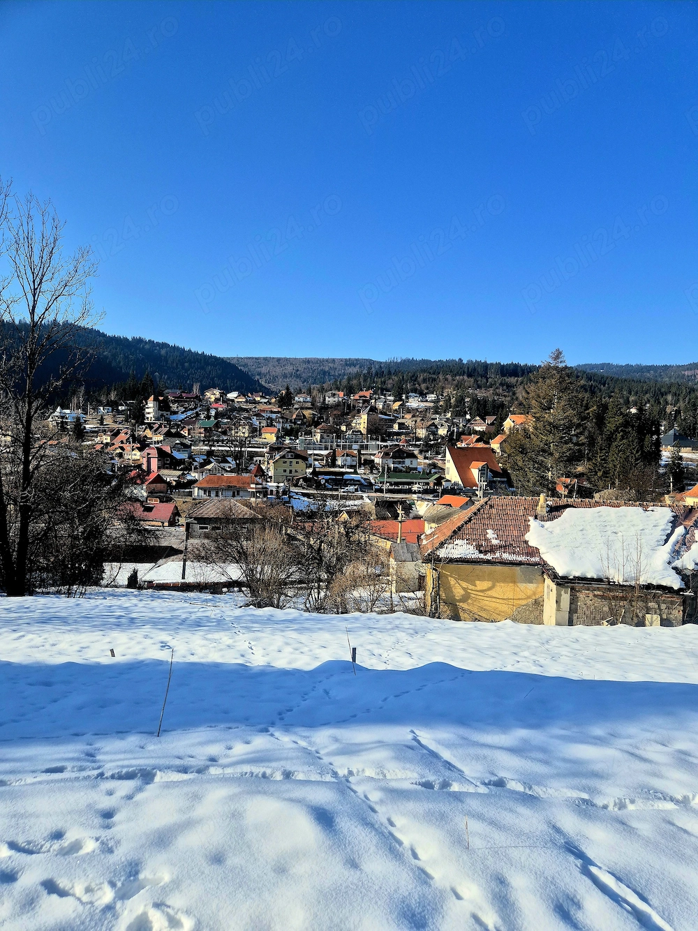 Vând teren în stațiunea Borsec