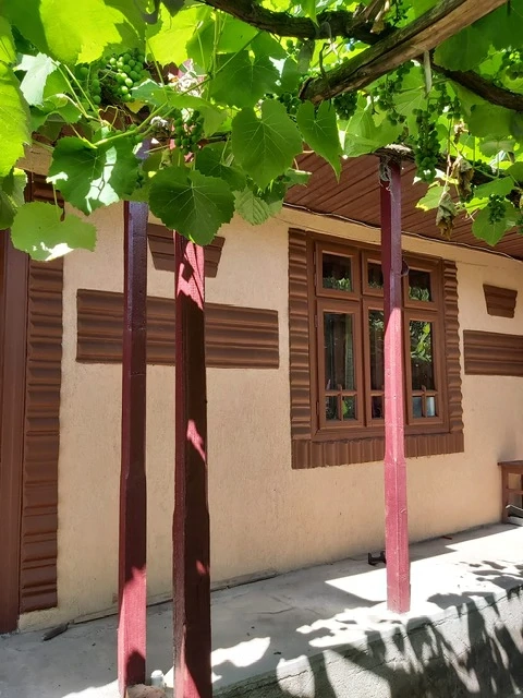 Vand casa in sat Idrici