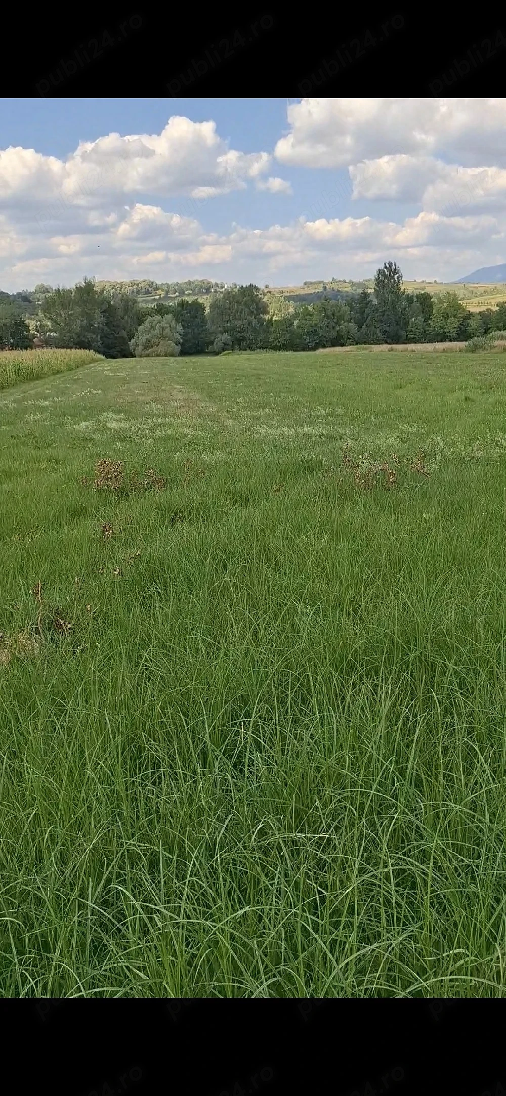 Vand Pamant în Chechiș , Maramureș 