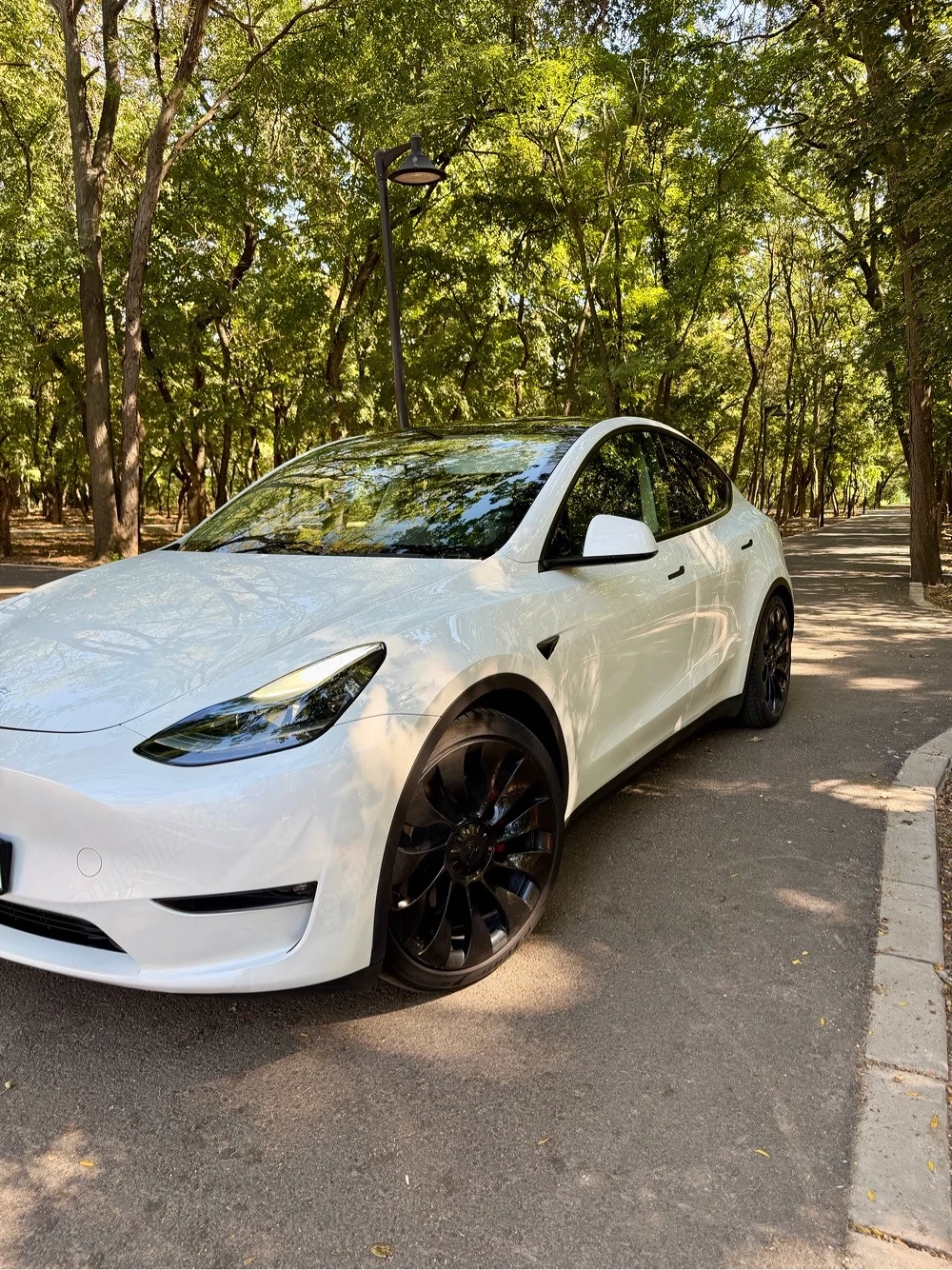 Tesla Model Y Performance 