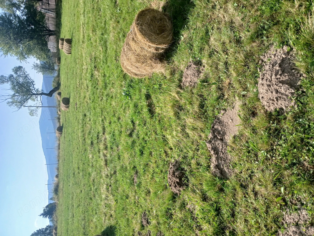 Vănd casă +teren