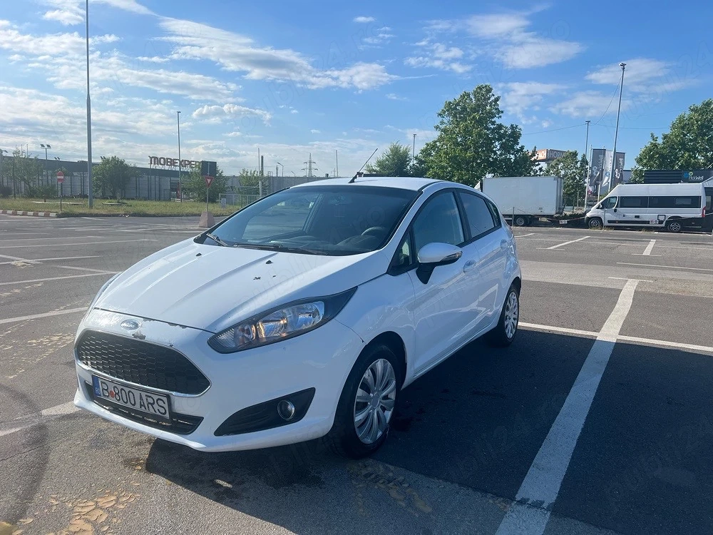 Ford fiesta consum mic 