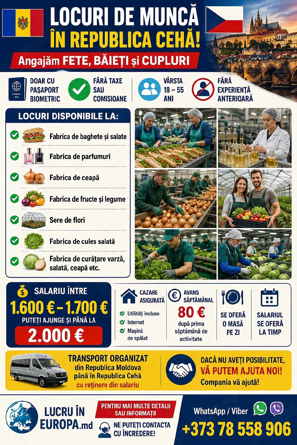 locuri de Muncă în străinătate 
