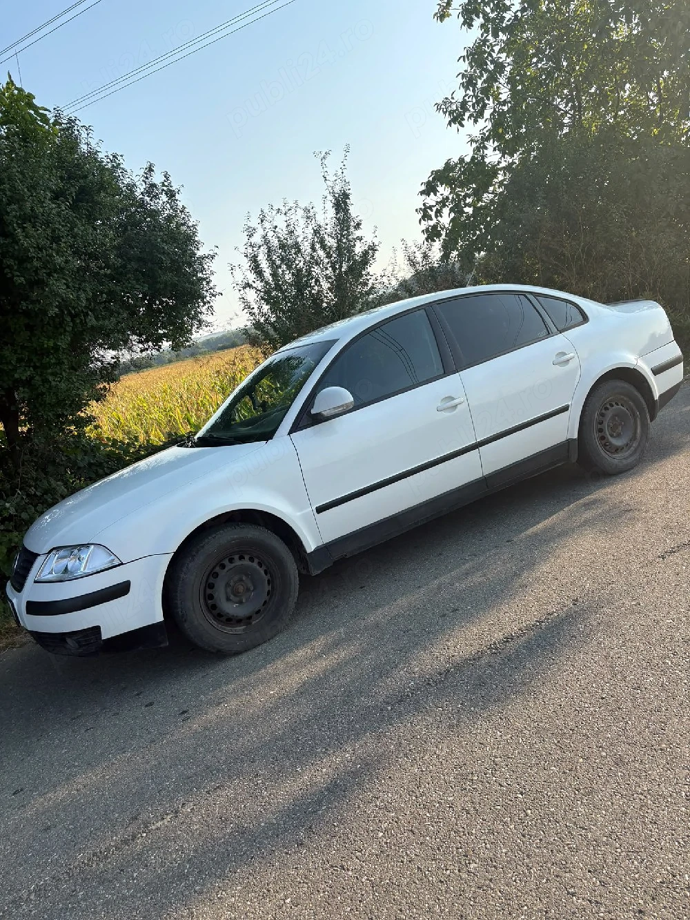 Vand Passat b5.5 1.9 tdi 2004