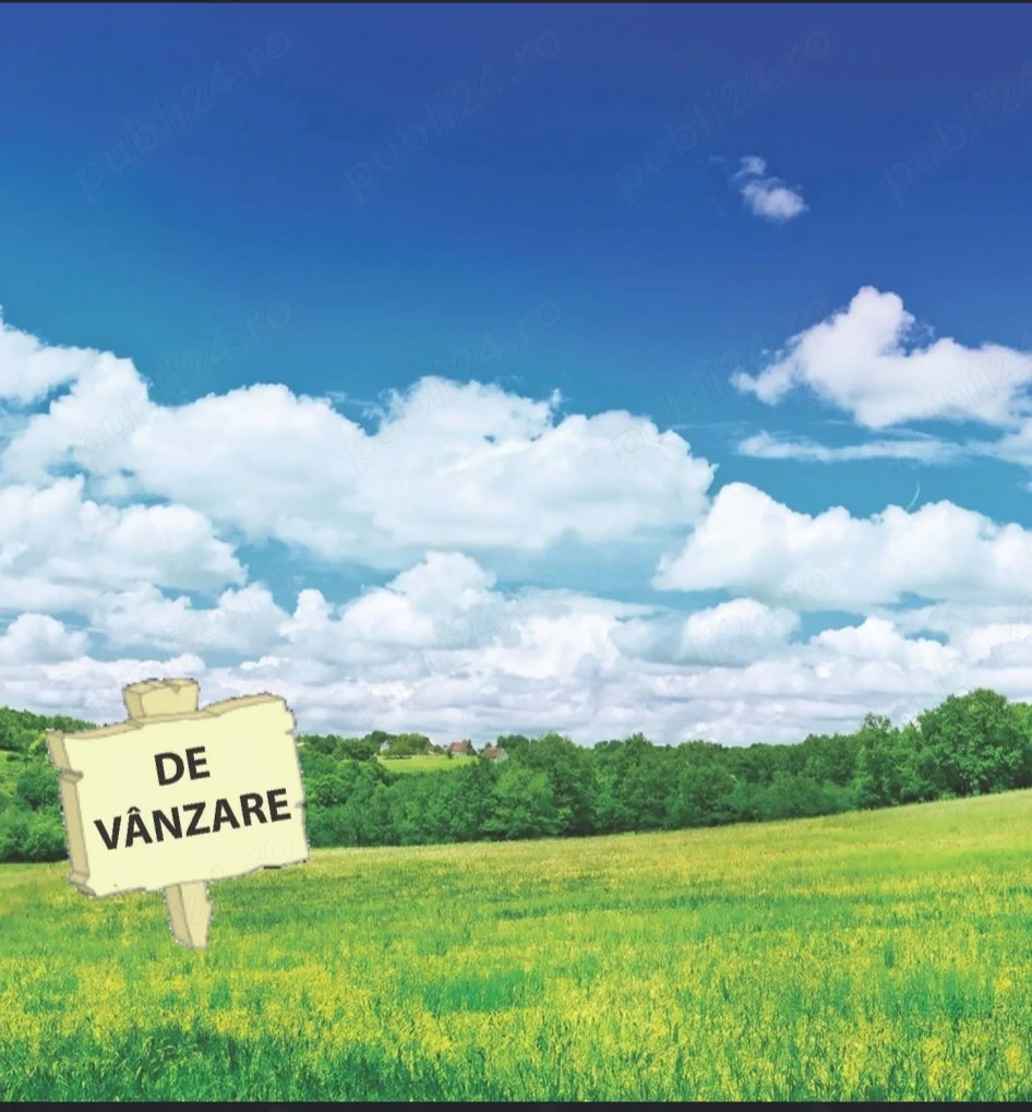 Teren agricol 10 hectare Giubega 