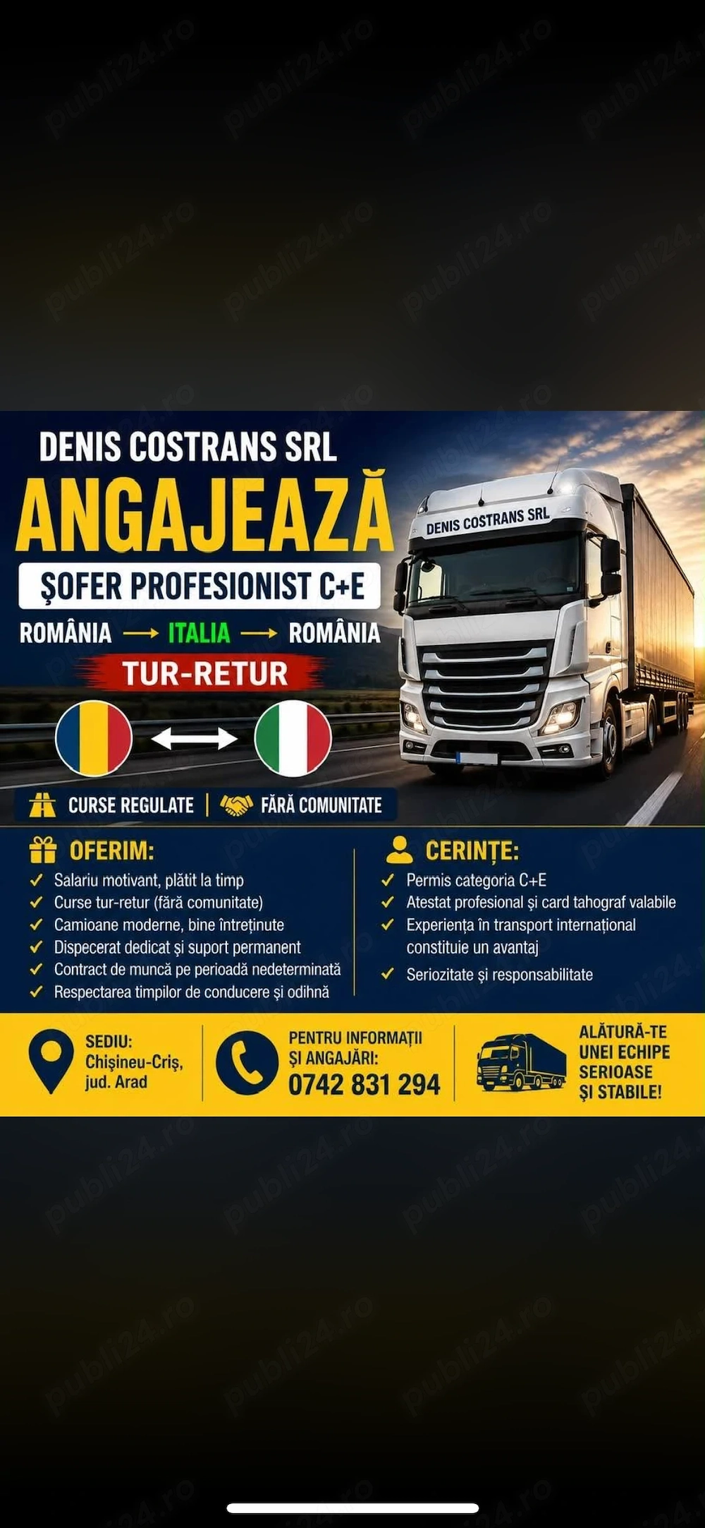 Angajez șofer profesionist cat.C+E