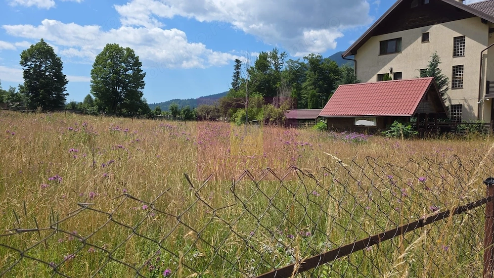 Teren 1000 mp cu view superb in Busteni