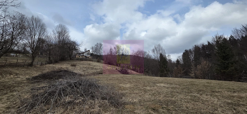 Teren intravilan de vanzare in Valea Doftanei