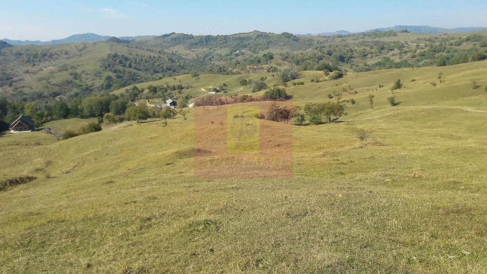 Teren intravilan de vanzare in Breaza (dezvoltare imobiliara)
