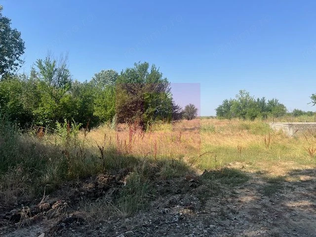 Teren Clinceni- Ordoreanu- langa Dig.