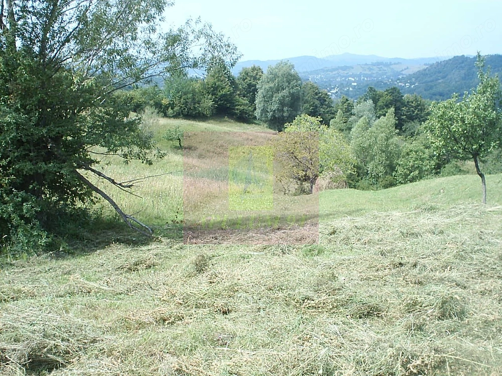 Teren extravilan de vanzare in Telega